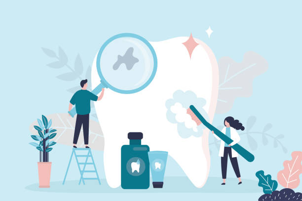 Professional  Holistic Dental Services in Dania Beach, FL